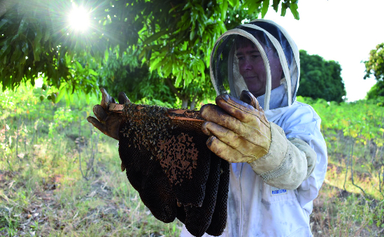 Beekeeping