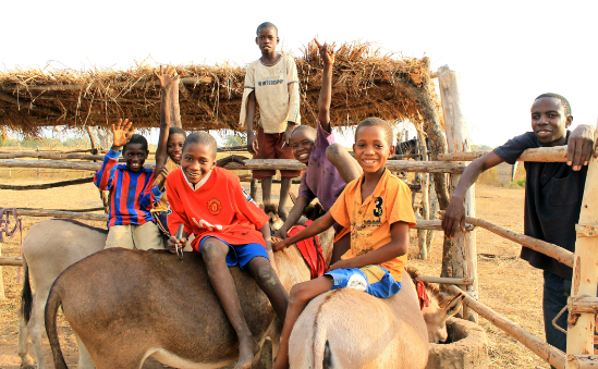 Members of the GHDT Donkey Club