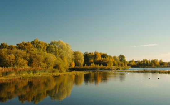 Whisby Nature Park