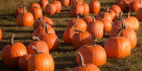 Forget Halloween &ndash; let&rsquo;s talk about Lupus Awareness Month